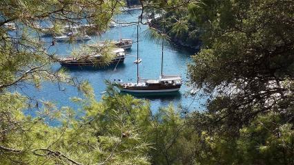Goleta Aliaga 1