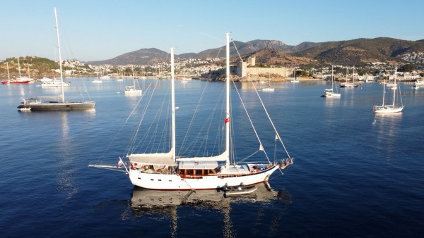Goleta Beyaz Lale