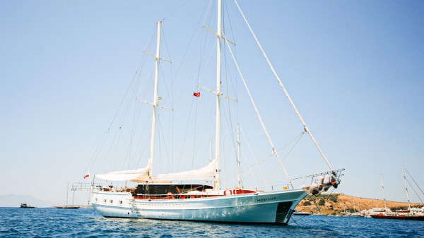 Goleta Beyaz Lale