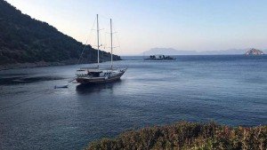 Goleta Erva Demir