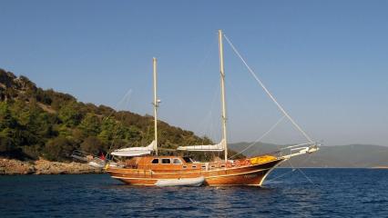 Neptun Goleta