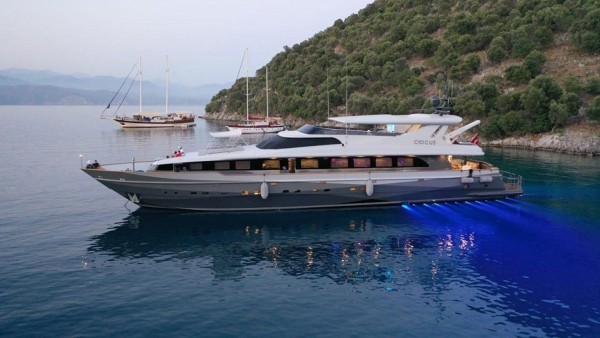 Yate a motor Crocus